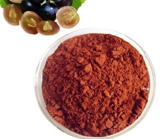 Opc Grape Extract Powder.png